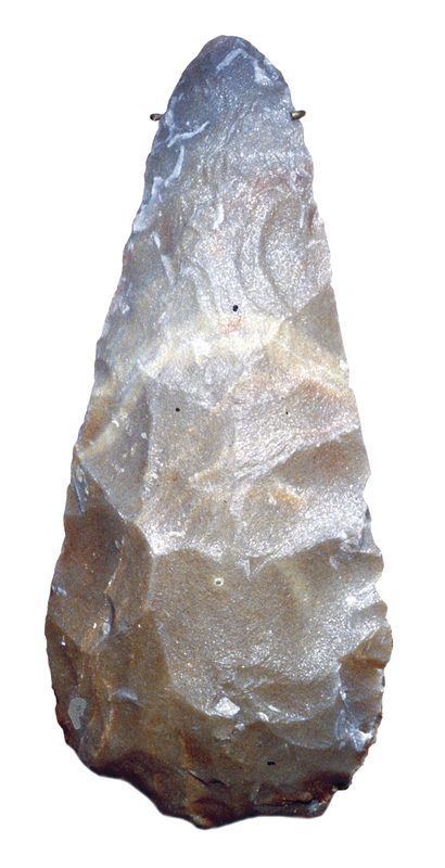 Recherche des hommes prehistorique