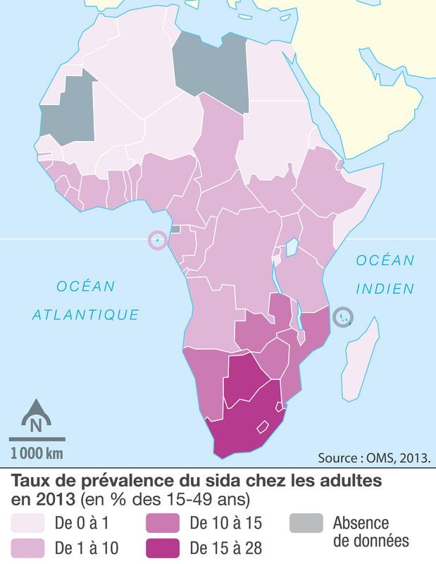 Les Dynamiques De Lafrique Australe Image Lelivrescolaire Fr