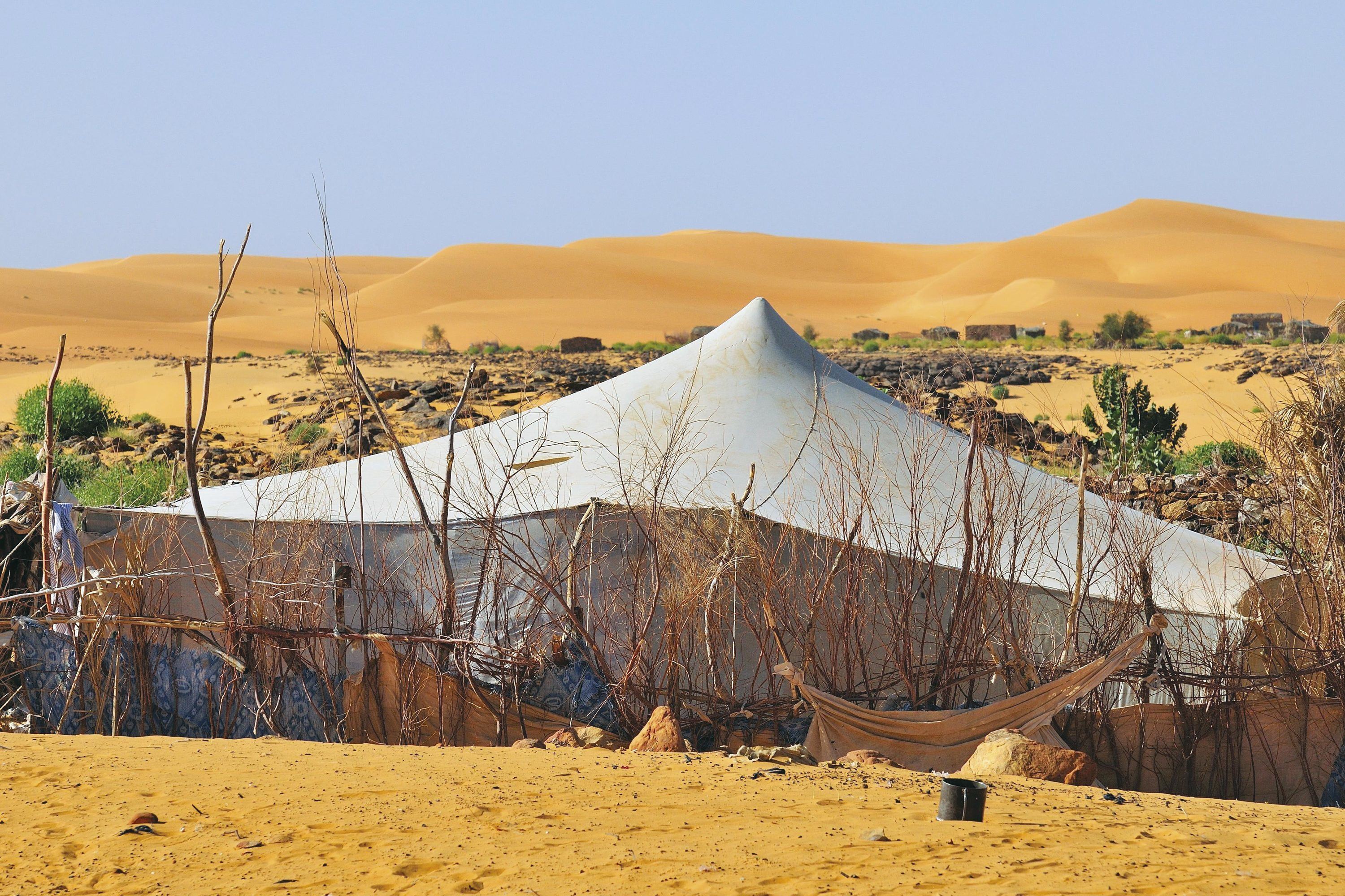 Habiter le désert du Sahara (2/2) - Image | Lelivrescolaire.fr