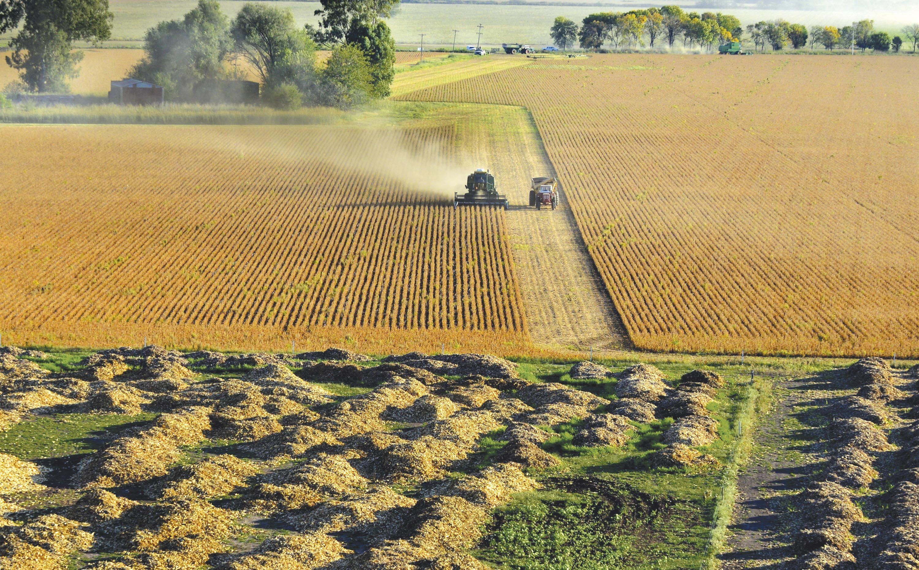 La récolte du soja près de Rojas (Argentine)