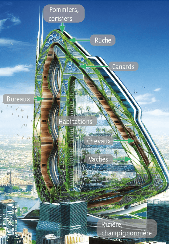 La Ville Du Futur Dès Aujourdhui Image Lelivrescolairefr