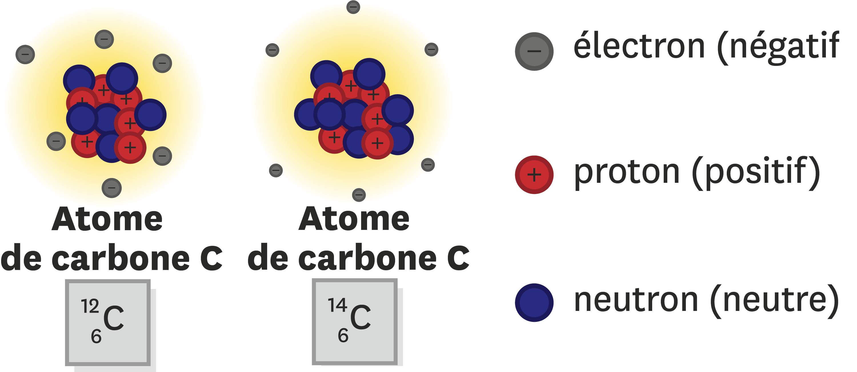 Nombre De Nucléons Dans Le Magnésium