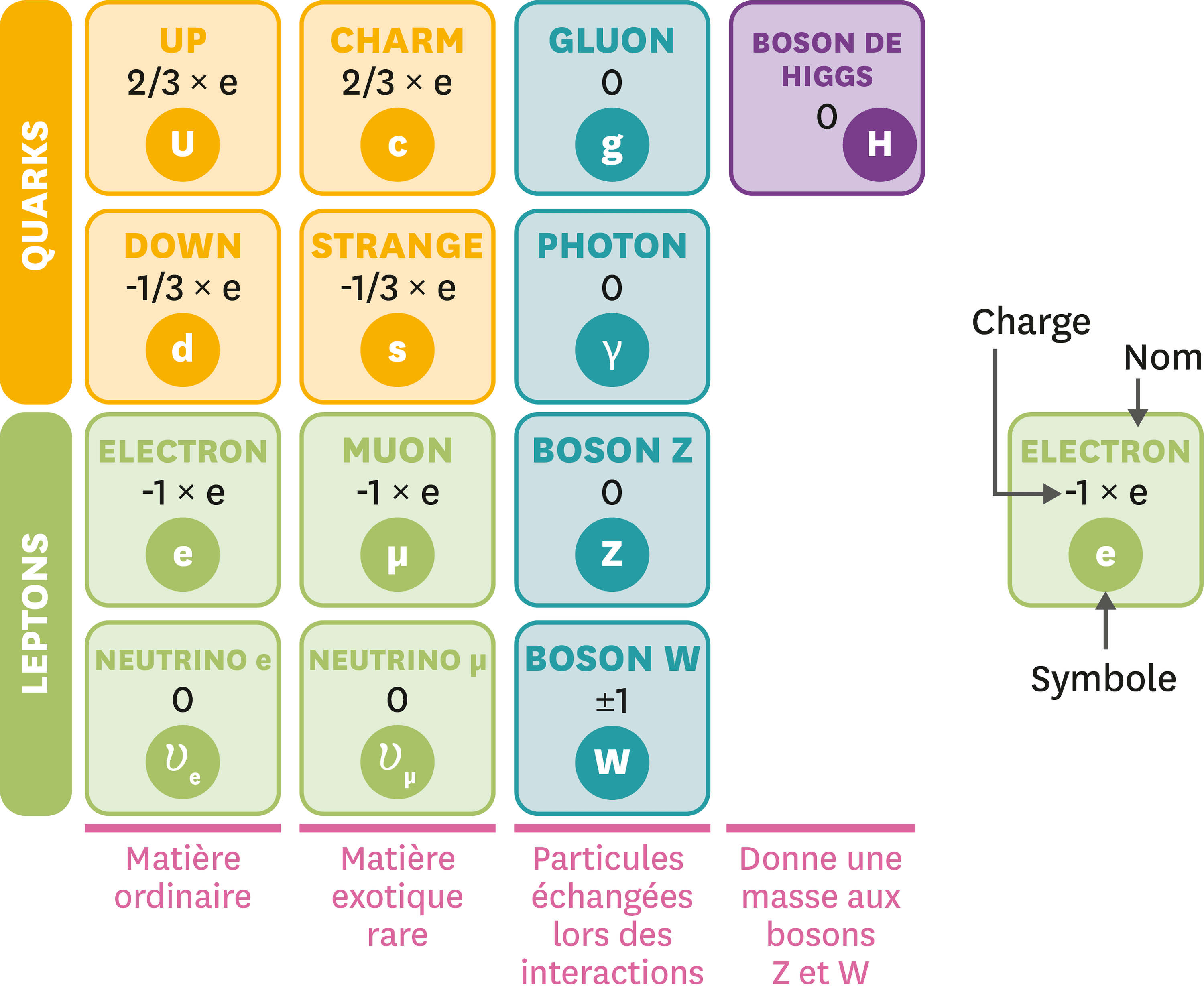 Quelques-unes des 61 particules élémentaires du modèle standard.