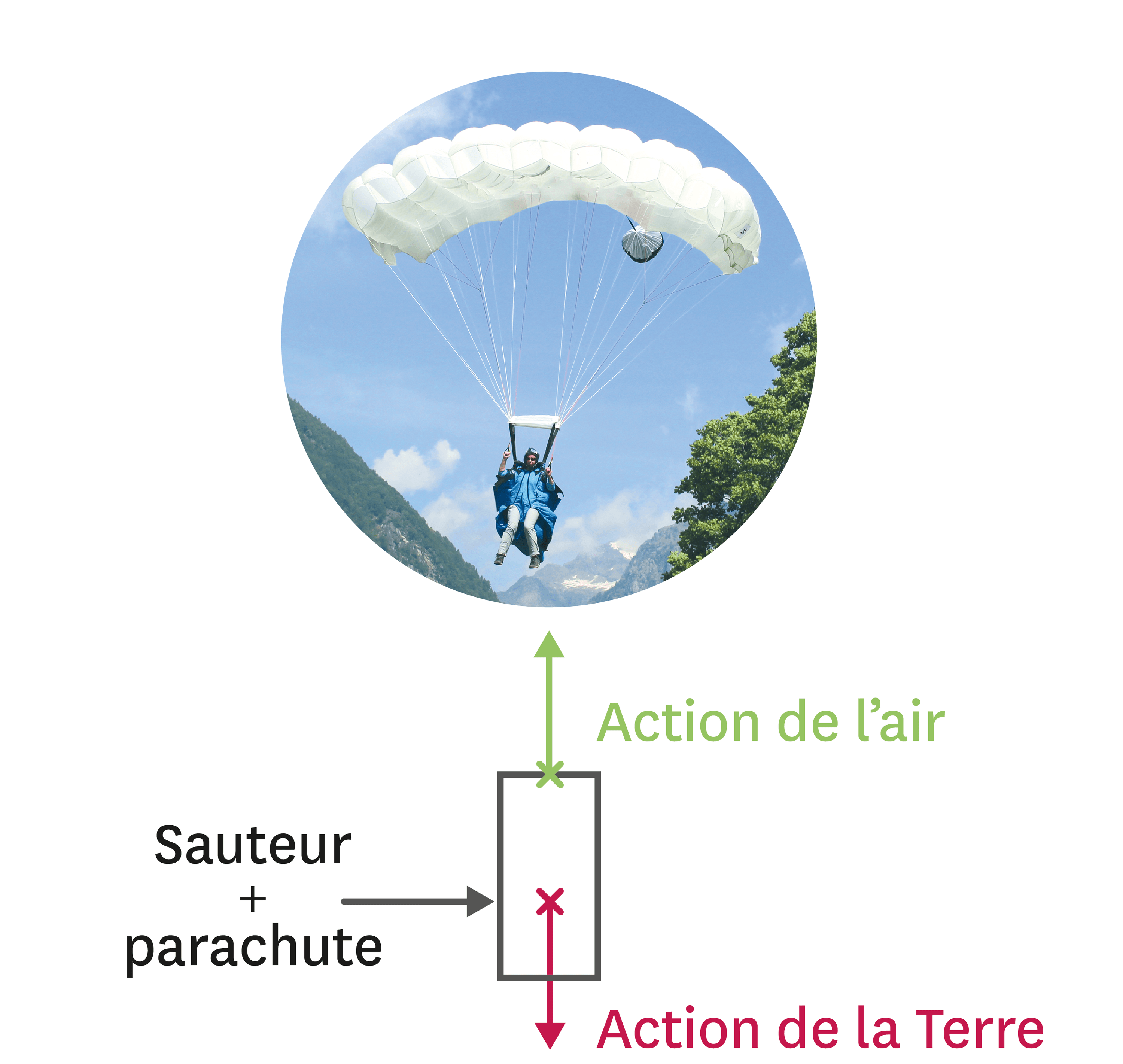 Modélisation des actions subies par le système «u00 sauteur + parachute