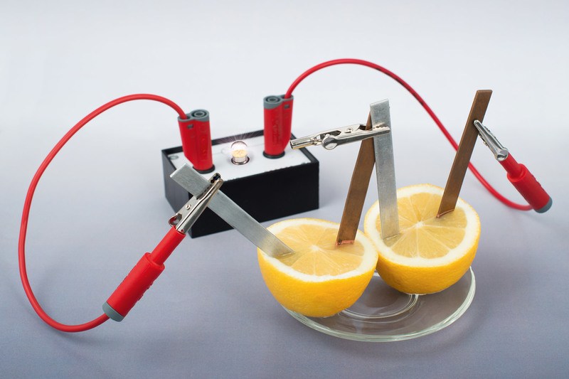Fabrique une pile avec des citrons ! | La Physique-Chimie autrement