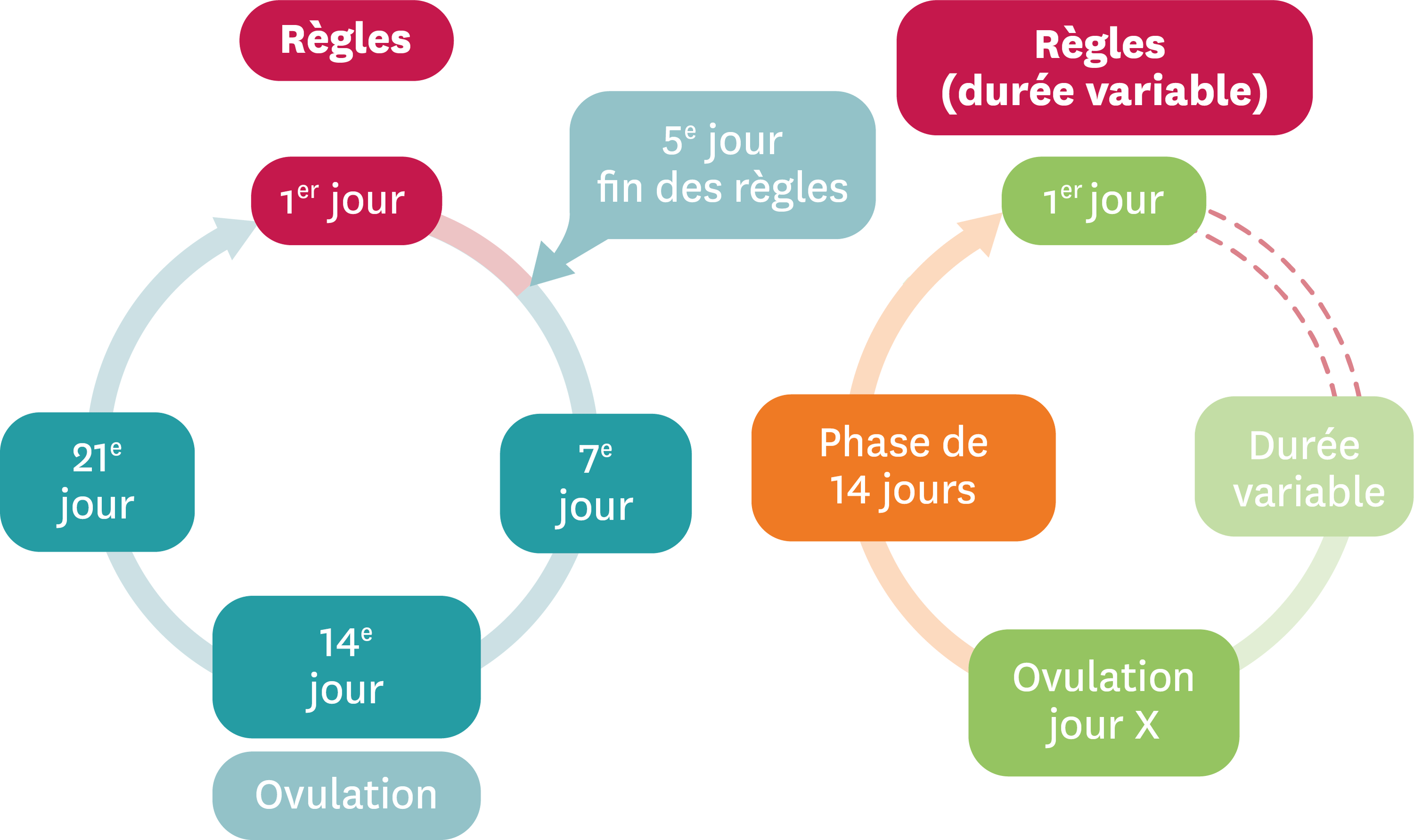 qui dure un cycle - durée d'un cycle menstruel normal