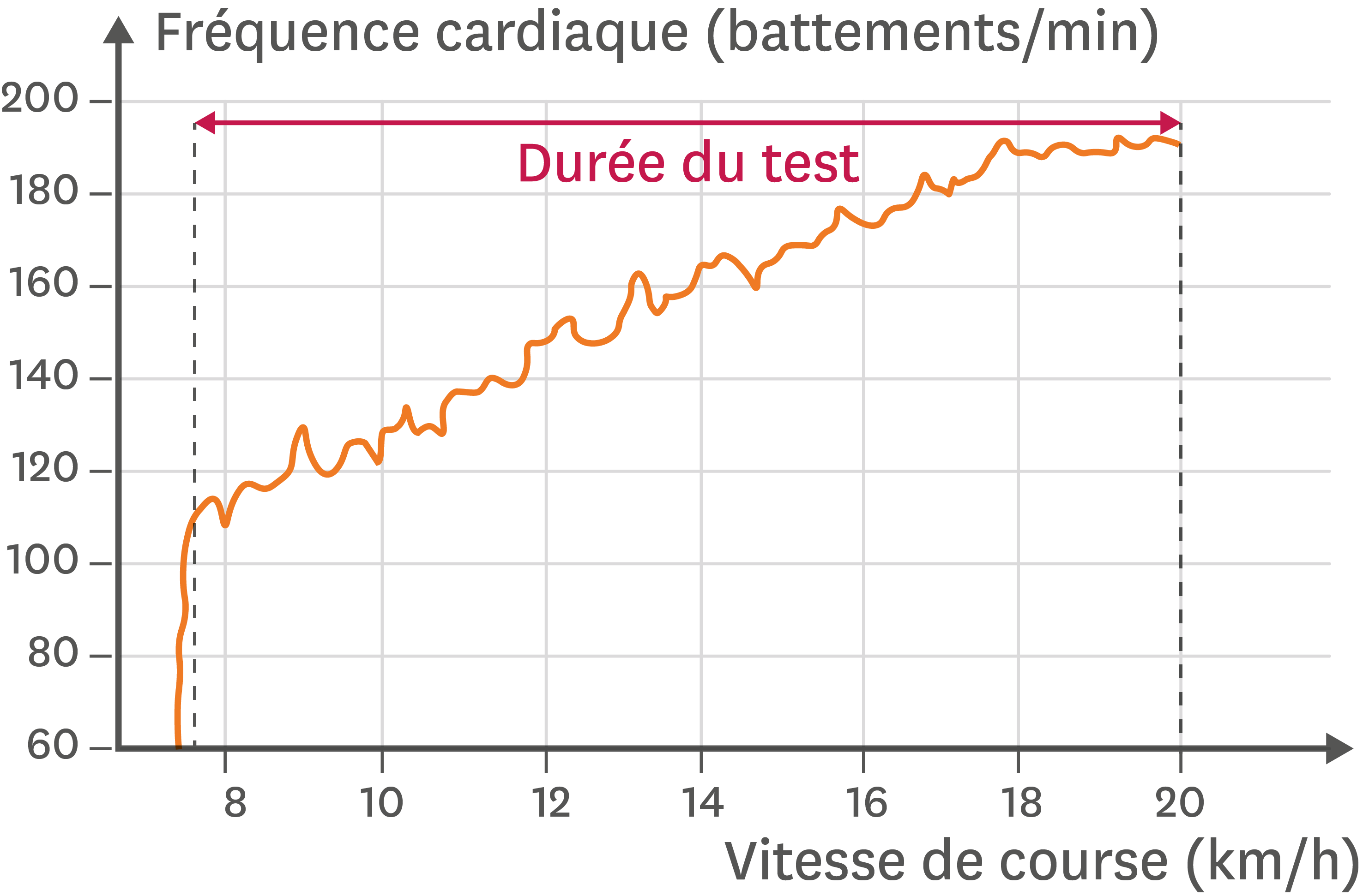 Fréquence Cardiaque Maximale En Fonction De L Age