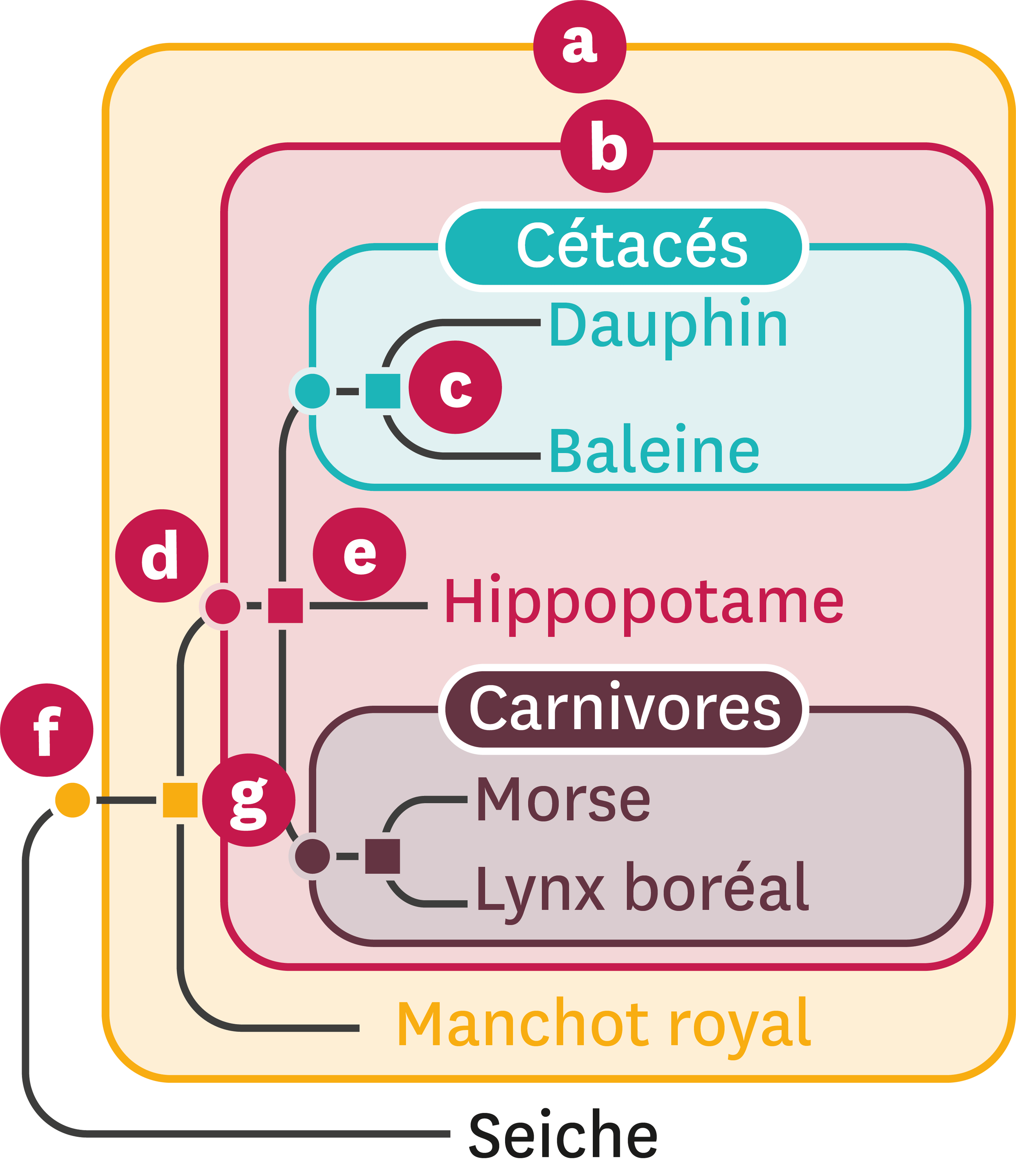 Schéma De L'arbre De Parenté.