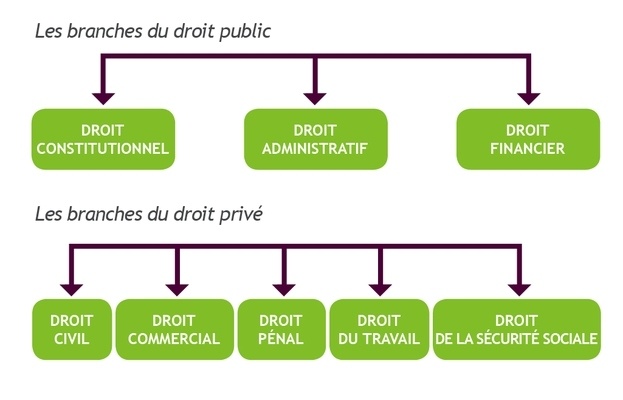 Les Différentes Branches Du Droit