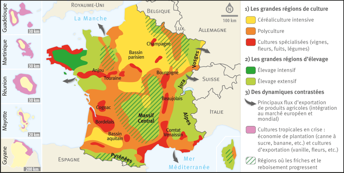 L'agriculture en France